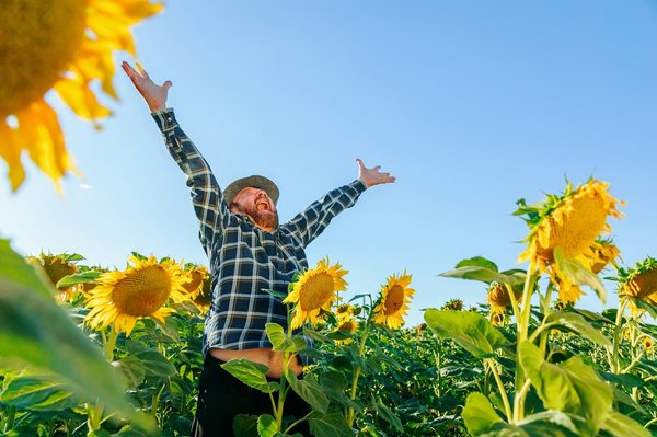 How to set up a UK-based language translation agency and navigate international intellectual property laws?